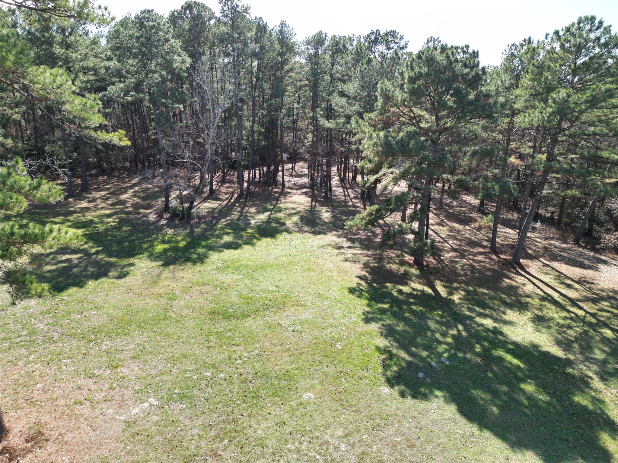 4542 Evergreen Forest Lane Navasota TX 77868