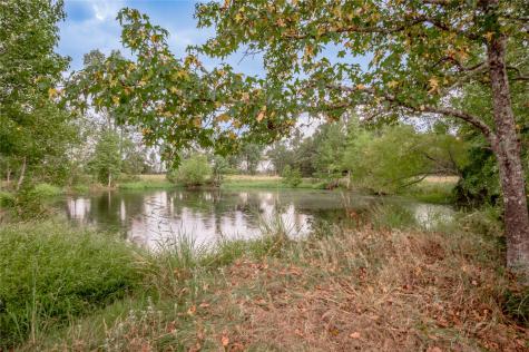 4475 Fm 2262 Groveton TX 75845