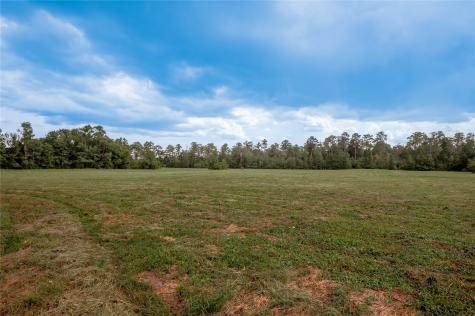 4475 Fm 2262 Groveton TX 75845
