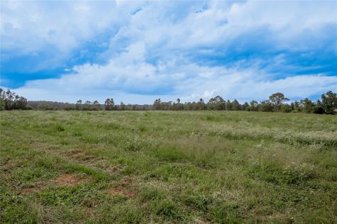 4475 Fm 2262 Groveton TX 75845
