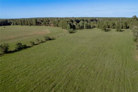 4475 Fm 2262 Groveton TX 75845