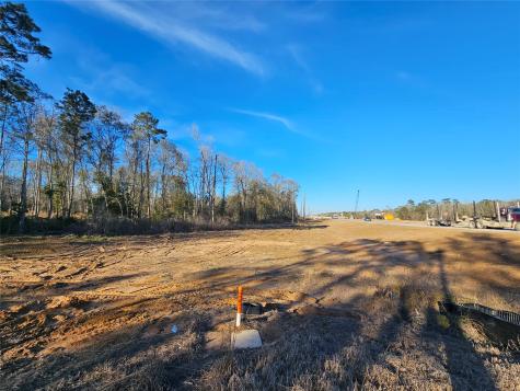 Lot 47 Sherwood Drive Shepherd TX 77371