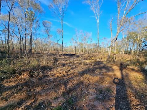 Lot 47 Sherwood Drive Shepherd TX 77371