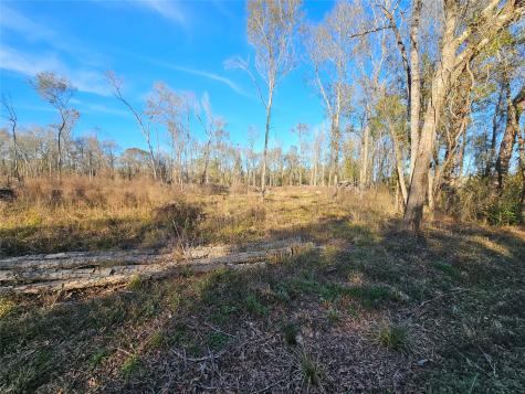 Lot 47 Sherwood Drive Shepherd TX 77371