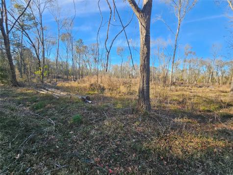 Lot 47 Sherwood Drive Shepherd TX 77371