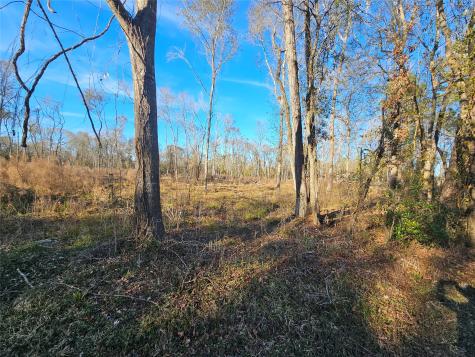 Lot 47 Sherwood Drive Shepherd TX 77371