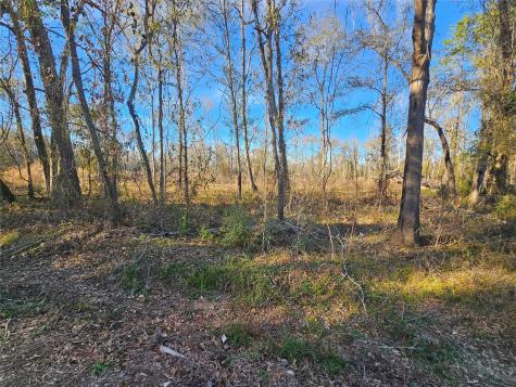 Lot 47 Sherwood Drive Shepherd TX 77371