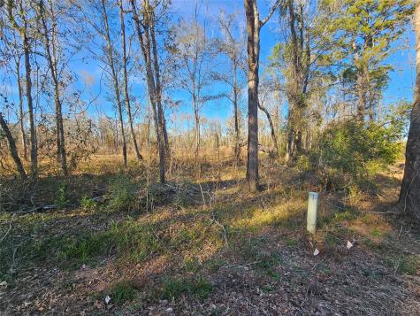 Lot 47 Sherwood Drive Shepherd TX 77371