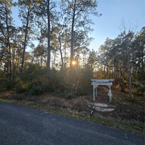 20135 Belleau Wood Drive Houston TX 77338