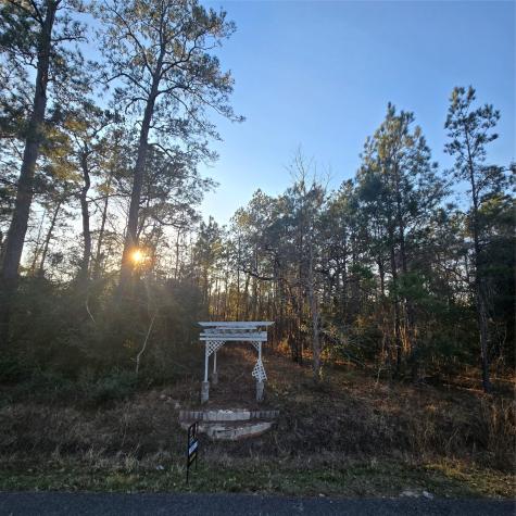 20135 Belleau Wood Drive Houston TX 77338
