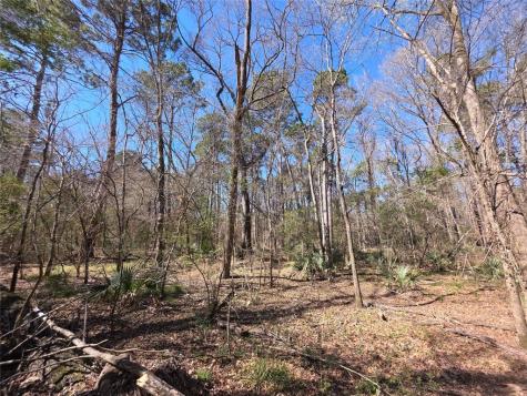 Tbd Fm 156 Coldspring TX 77331