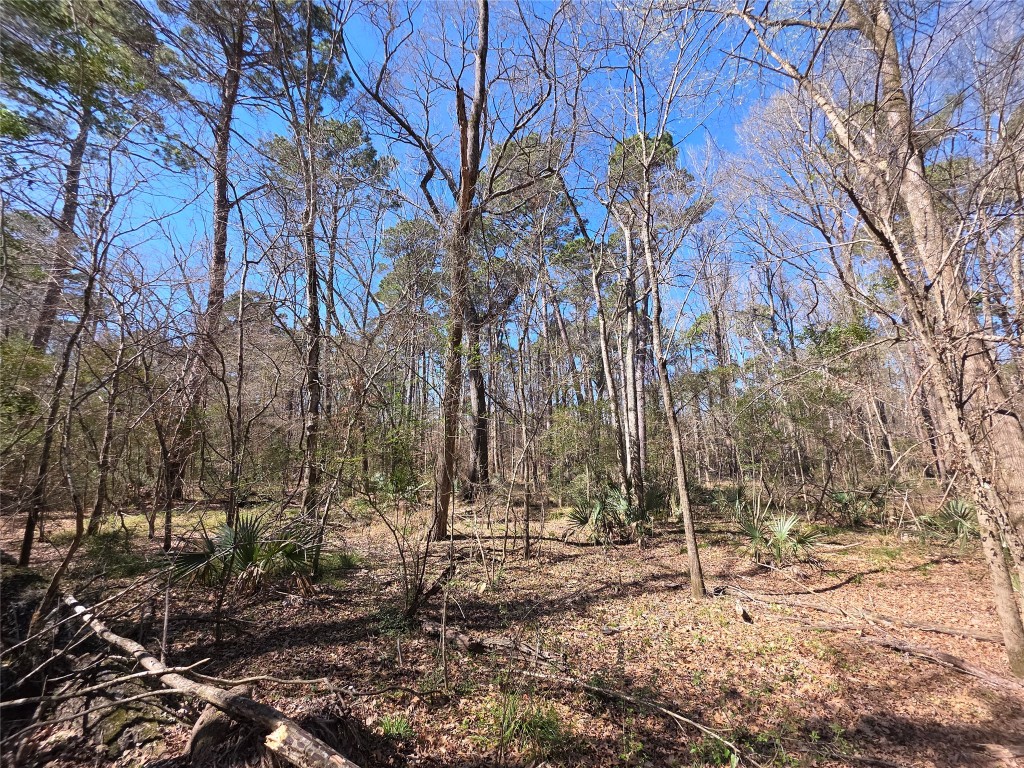 Tbd Fm 156 Coldspring TX 77331