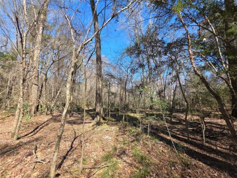 Tbd Fm 156 Coldspring TX 77331