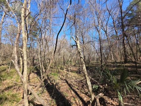Tbd Fm 156 Coldspring TX 77331