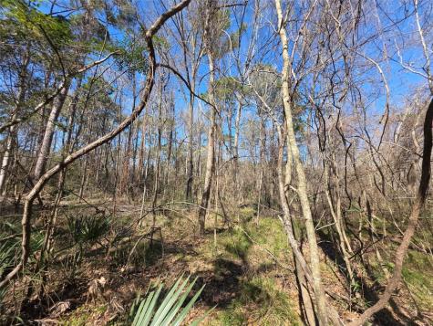 Tbd Fm 156 Coldspring TX 77331