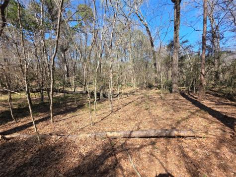Tbd Fm 156 Coldspring TX 77331
