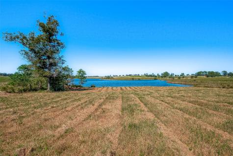 Lot 109 Lakeland Ranch Hillister TX 77624