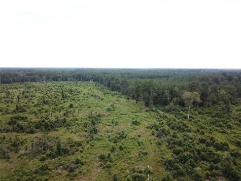 Tbd County Road 3089 Kirbyville TX 75956