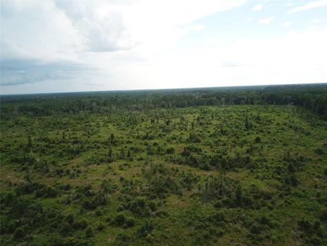 Tbd County Road 3089 Kirbyville TX 75956