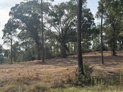 000896 County Road 219 Brookeland TX 75931