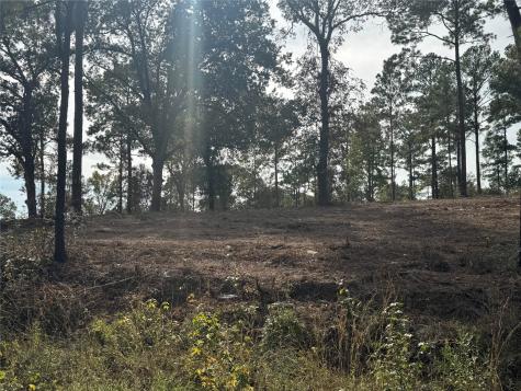 000896 County Road 219 Brookeland TX 75931