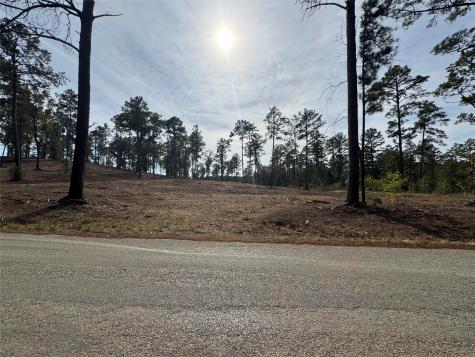 000896 County Road 219 Brookeland TX 75931