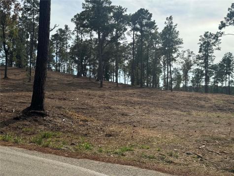 000896 County Road 219 Brookeland TX 75931