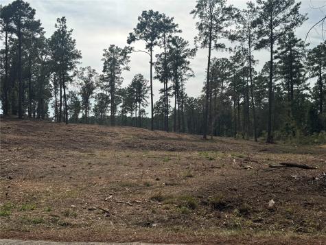 000896 County Road 219 Brookeland TX 75931