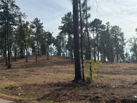 000896 County Road 219 Brookeland TX 75931