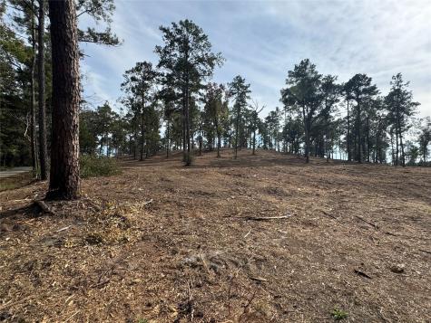 000896 County Road 219 Brookeland TX 75931