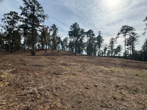 000896 County Road 219 Brookeland TX 75931