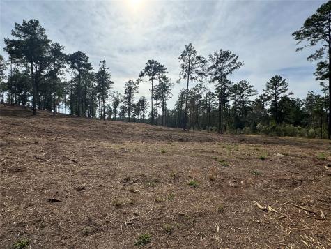 000896 County Road 219 Brookeland TX 75931