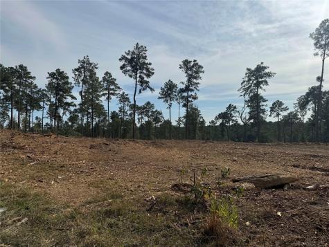 000896 County Road 219 Brookeland TX 75931