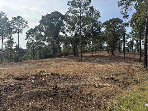000896 County Road 219 Brookeland TX 75931