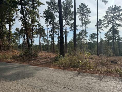 000896 County Road 219 Brookeland TX 75931