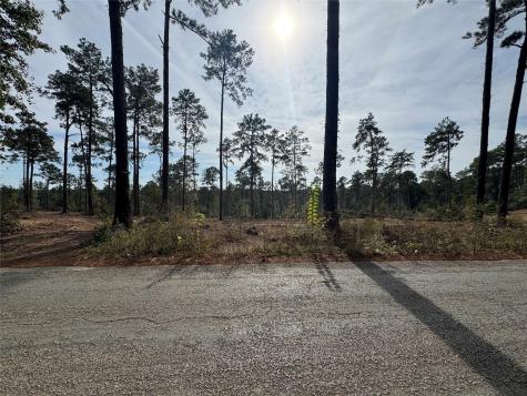 000896 County Road 219 Brookeland TX 75931