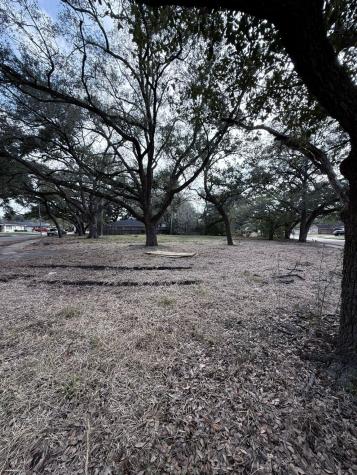 4038 Woodshire Street Houston TX 77025