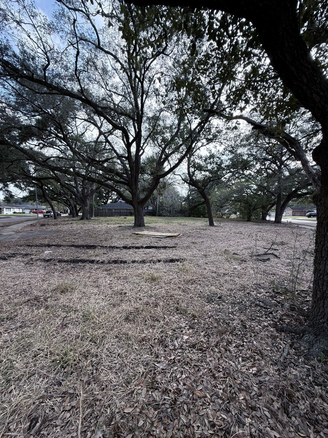 4038 Woodshire Street Houston TX 77025