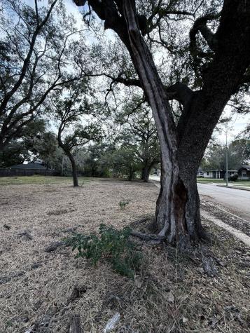 4038 Woodshire Street Houston TX 77025