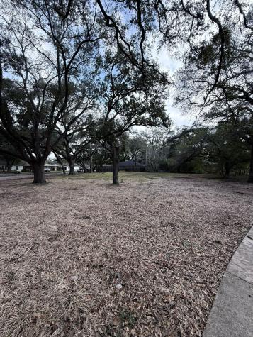 4038 Woodshire Street Houston TX 77025