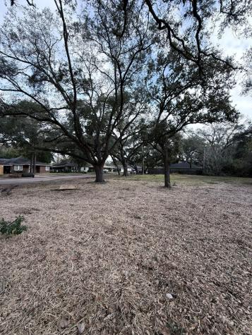 4038 Woodshire Street Houston TX 77025