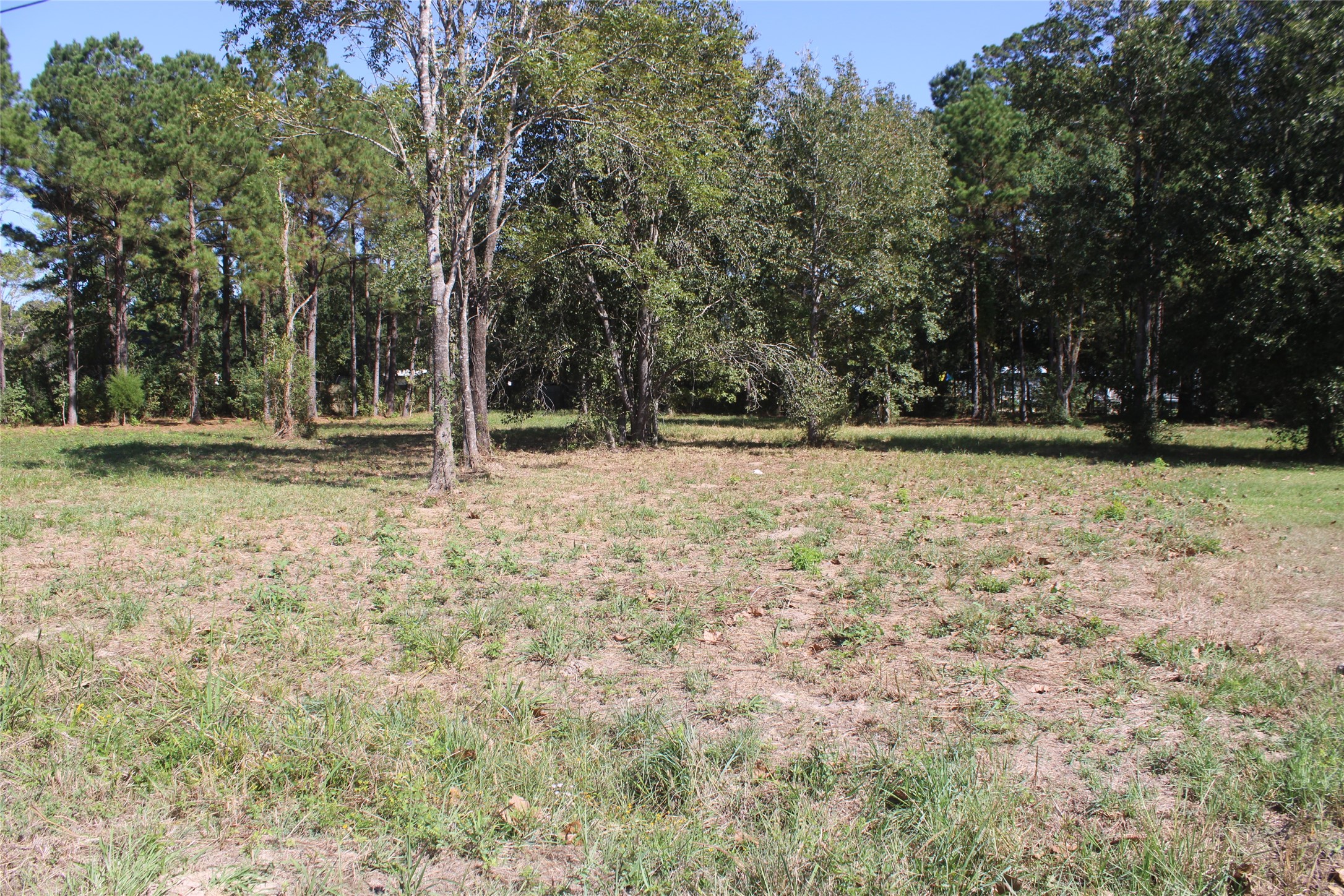 715 Dayna Lane Sour Lake TX 77659