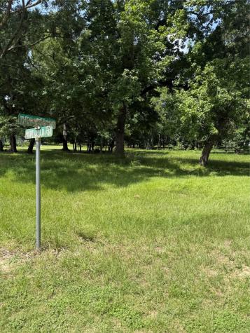 Blk 7 Lot 9 Monticello Street Street Trinity TX 75862