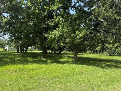 Blk 7 Lot 9 Monticello Street Street Trinity TX 75862