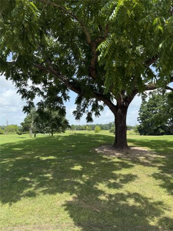 Blk 7 Lot 9 Monticello Street Street Trinity TX 75862