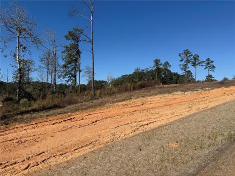 Lot 126 Tranquility Road Livingston TX 77351