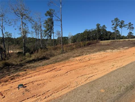 Lot 126 Tranquility Road Livingston TX 77351