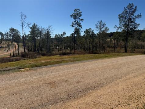 Lot 126 Tranquility Road Livingston TX 77351