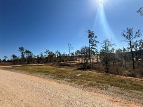 Lot 126 Tranquility Road Livingston TX 77351