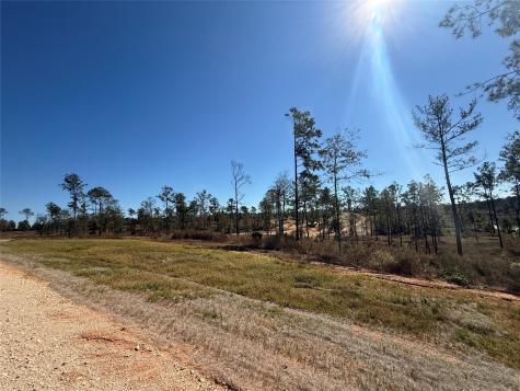 Lot 126 Tranquility Road Livingston TX 77351